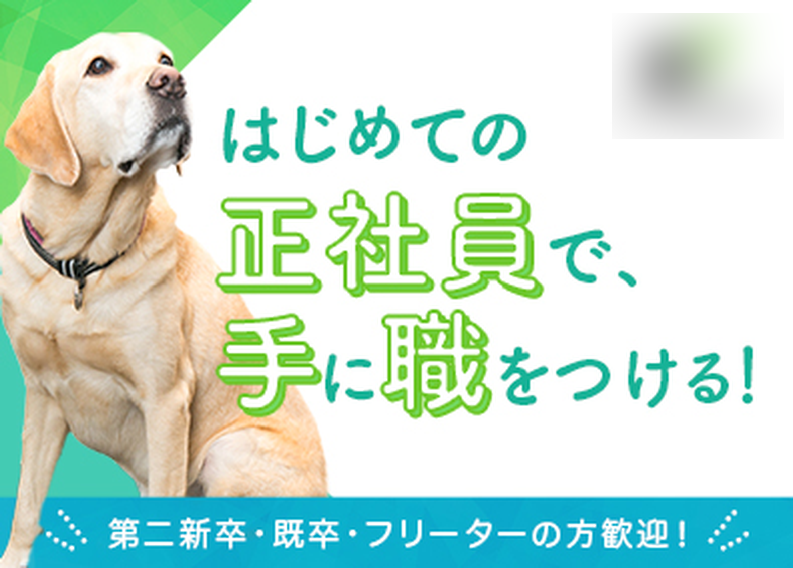 求人広告バナー